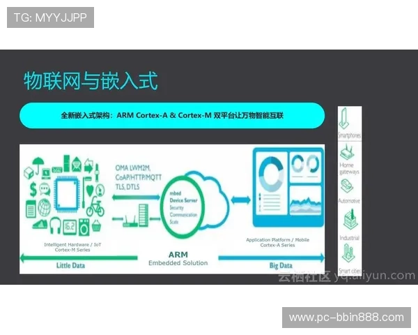 bbin 接口的详细介绍与使用指南，帮助开发者快速集成和优化