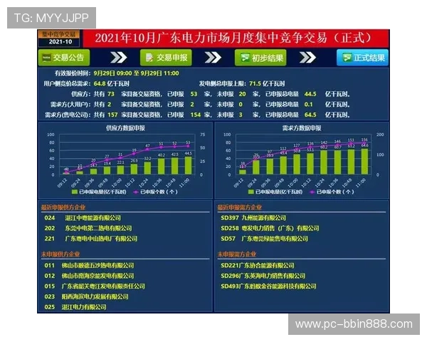 宝盈集团在行业中的领导地位与未来竞争格局展望