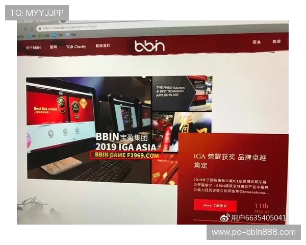 访问BBIN网址官方网站的详细步骤与常见问题解答